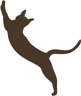 Country - Dog Catches Something (336x389)