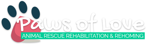 We Rescue, Rehabilitate And Re-home Lost And Abandoned - Animal Rescue Group (600x200)