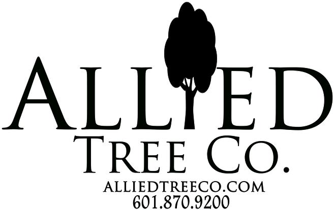 Allied Tree Company (667x433)