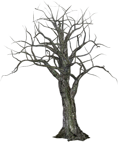 Spooky-tree - Scary Tree Png (393x471)