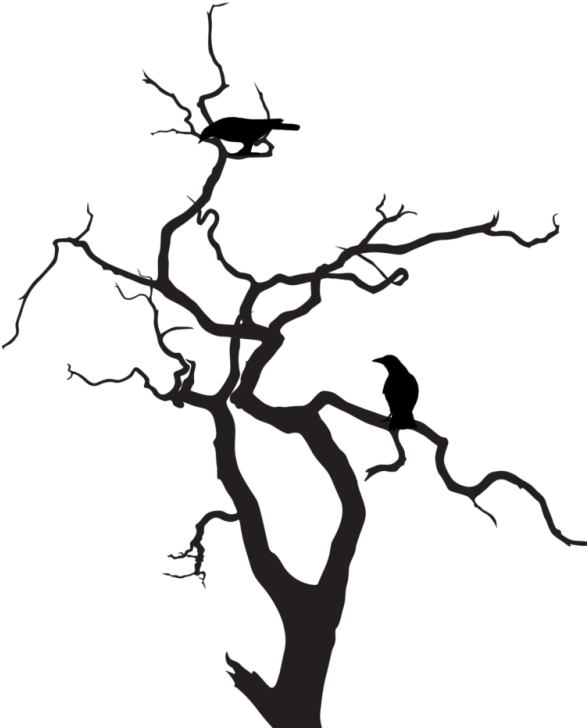Pin Scary Trees Clip Art - Crow In Tree Silhouette (600x800)