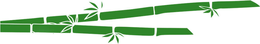 Graceful, Powerful And Fascinating - Graceful, Powerful And Fascinating (900x204)