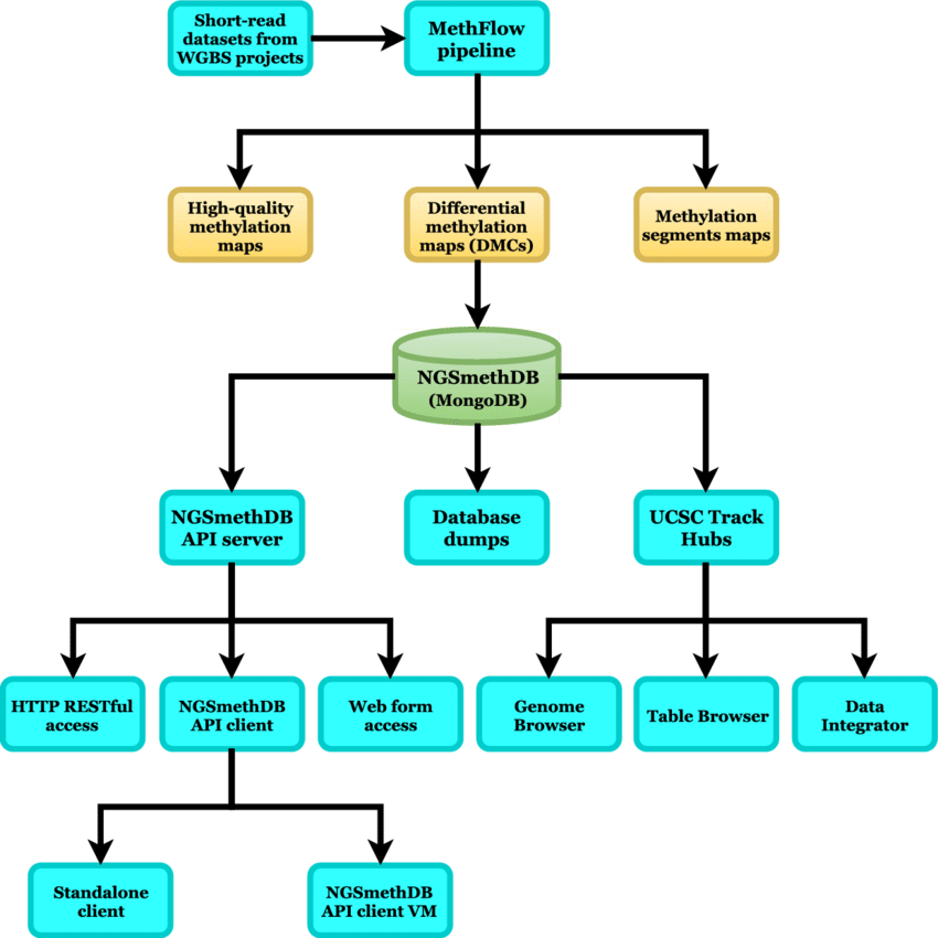 Data Flow Diagram For Ngsmethdb Indicating The Source - Data Flow Diagram For Database (850x850)