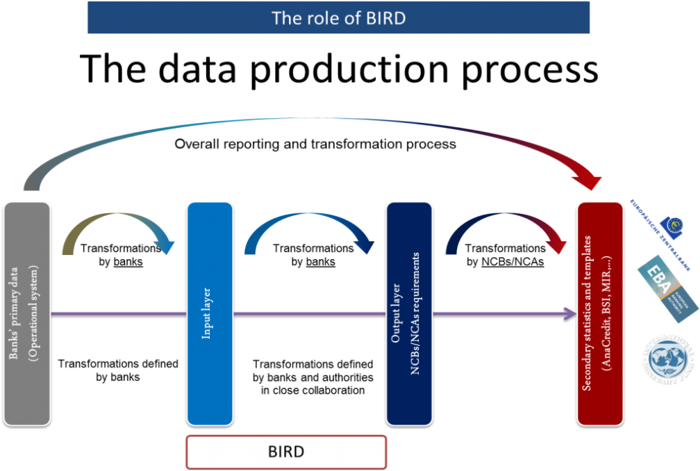 Bird About The Bird Rh Banks Integrated Reporting Dictionary - Diagram (1024x681)