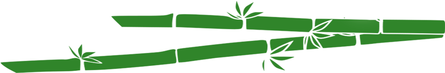 Deep In The Jungle, The Amazon Queen Is On The Hunt - Colorfulness (900x204)