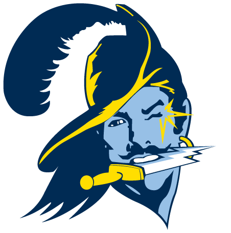 Tampa-3 - Tampa Bay Sports Logos (452x457)
