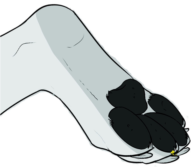 Woodstock Hugging Giant Snoopy's Paw By Bradsnoopy97 - Digital Art (677x637)