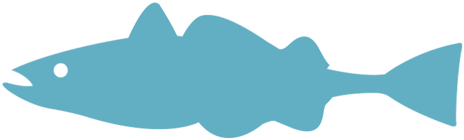 Picture - Cartilaginous Fish (797x293)