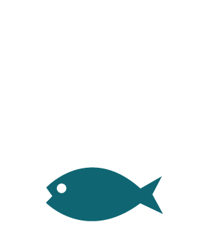 Bring Your Fish To Lyndhurst On A Saturday - Bring Your Fish To Lyndhurst On A Saturday (360x360)