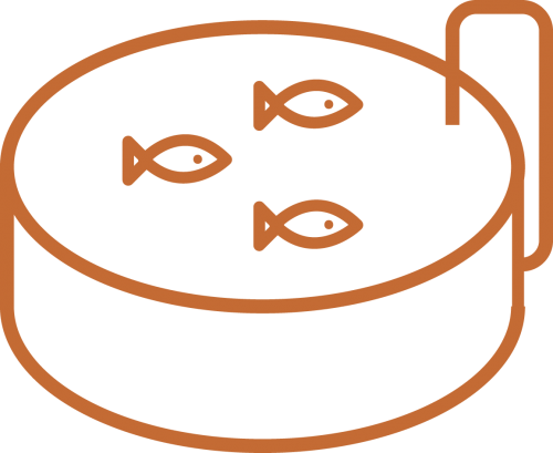 Innovative Land-based Nurseries Nurture Young Fish - Fish Farming (500x409)