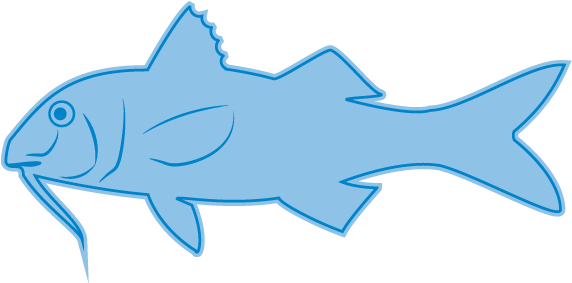 Red Mullet - Red Mullet (750x300)