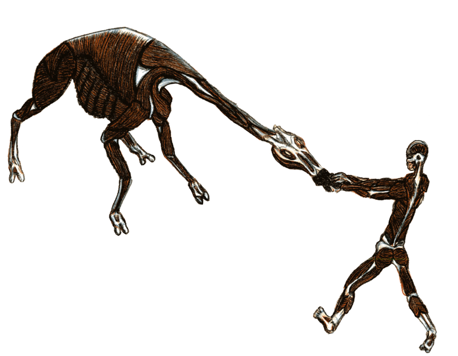 Tug O War - Tug O War (1000x746)