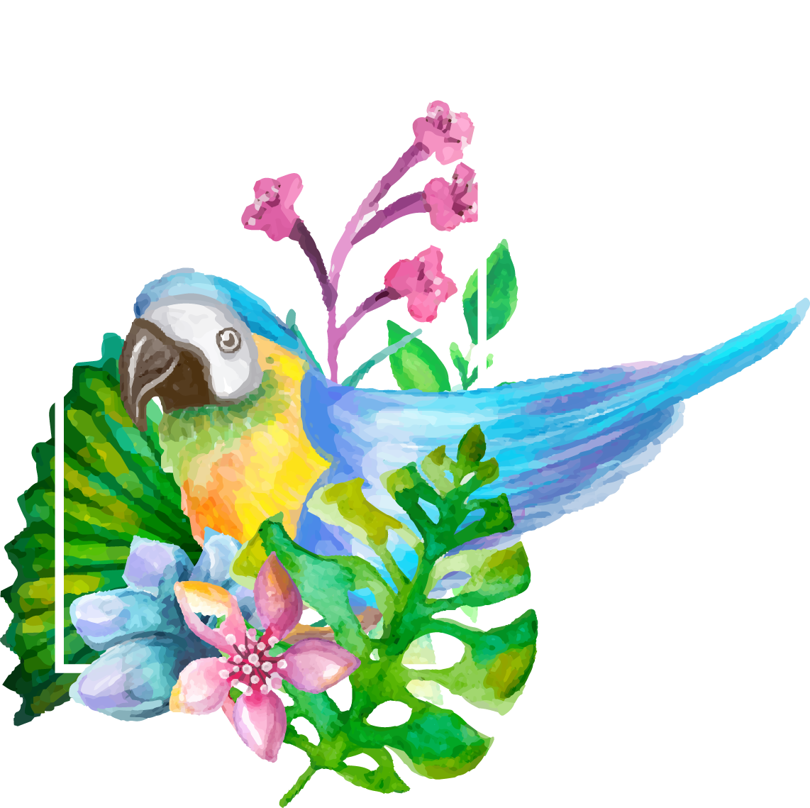 Parrot Drawing Watercolor Painting - Watercolor Painting (1142x1139)