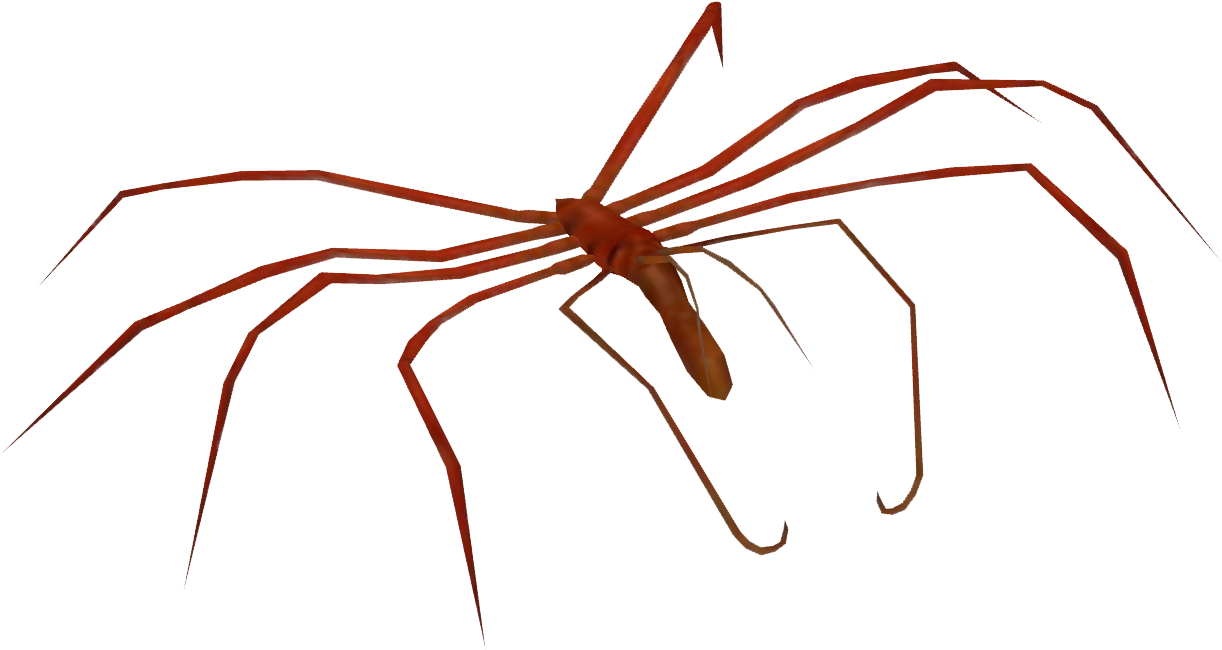 Sea Spider - Insect (1221x1221)