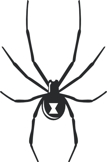 Black Widow Spider Halloween Wall Decal - Black Widow Spider Drawing (350x529)