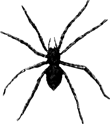 Spider Cut Out - Big Spider Cut Out (444x462)