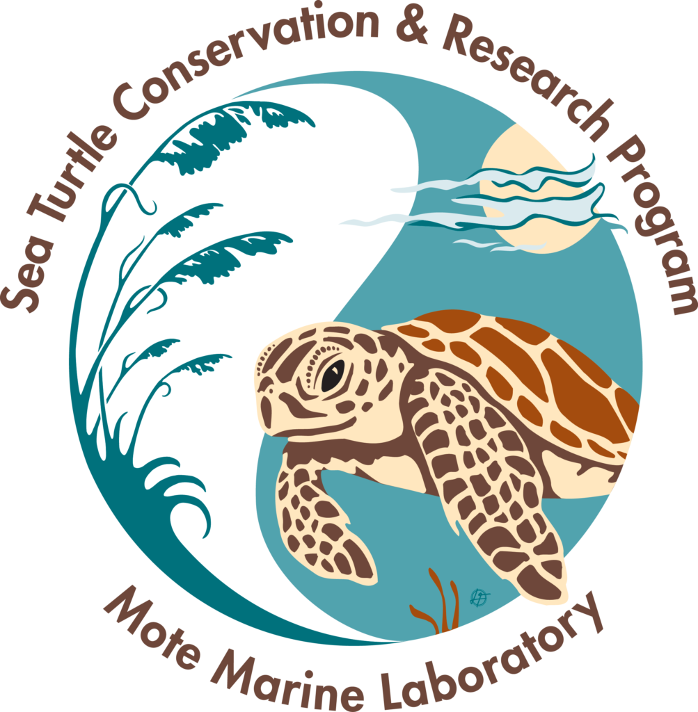 Sea Turtle Dive Sea Water Big Stock Photo - Save Turtles Logo Round Car Magnet (1003x1024)