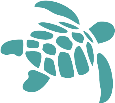 Green $5,000 - Green Sea Turtle Icon (432x407)