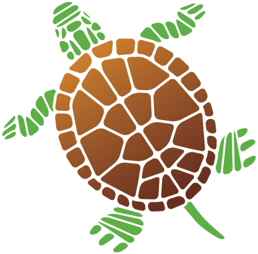 Stickers Tortue Marine À Partir De 15€ - Car Stickers Detailed Turtle Sticker (560x504)