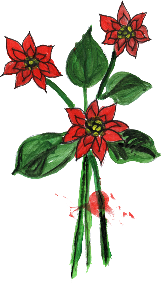 1132 × 1744 Px - Gilliflower (665x1024)