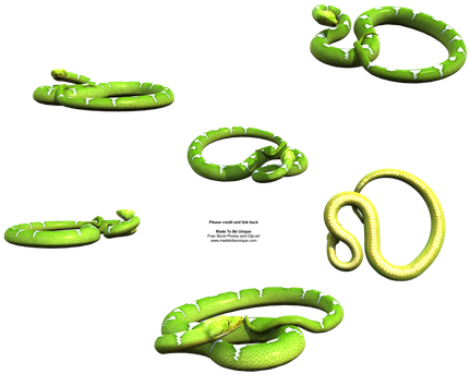 Smooth Green Snake Clipart Background - Snakes (438x350)