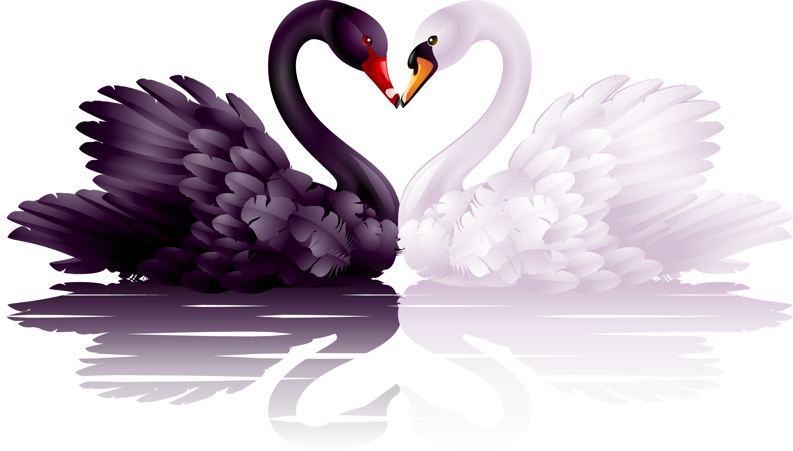 Free Swan Clip Art Of White And Black Swans With Heart - Black And White Swan (2647x1506)