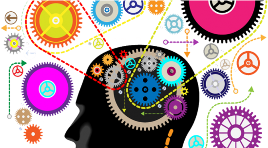 Brain - Multitasking Brain (600x303)