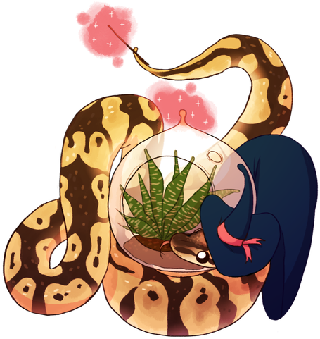 Snakes Reptile Ball Python Animal Spotted Python - Ball Python (520x520)