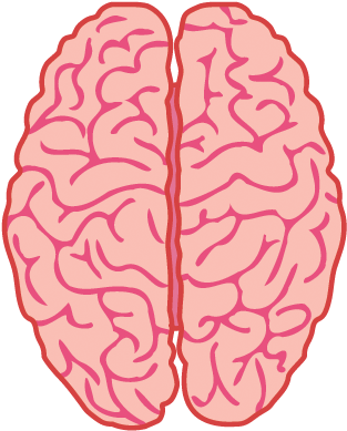Brain Top View Brain Quiz Project Neuron University - Types Of Brain Haemorrhage (339x431)