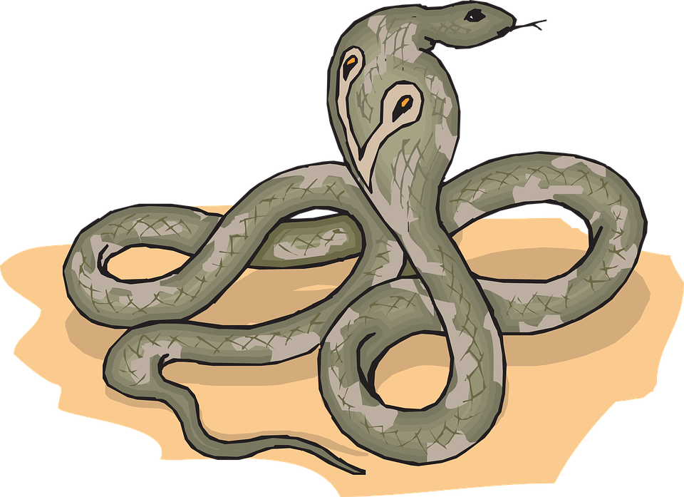 Cartoon Images Of Snakes 18, Buy Clip Art - Cobra Clipart (960x697)
