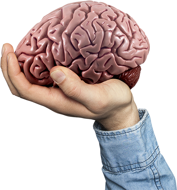 We Use What We've Learned About The Brain Through Advancements - Diagram (600x656)