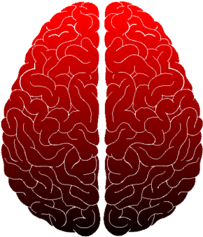Brain Icon Red By Marindalechat - Brain (400x400)