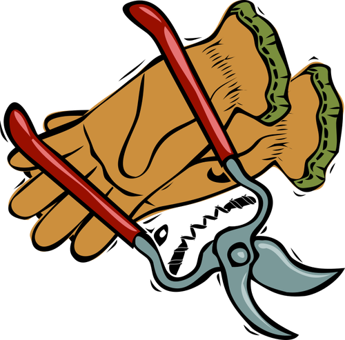 Gloves And Cutting Scissors Vector Graphics - Pruning Png (500x493)