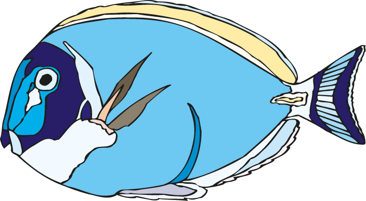 Creative Commons Attribution - Creative Commons Attribution (723x397)