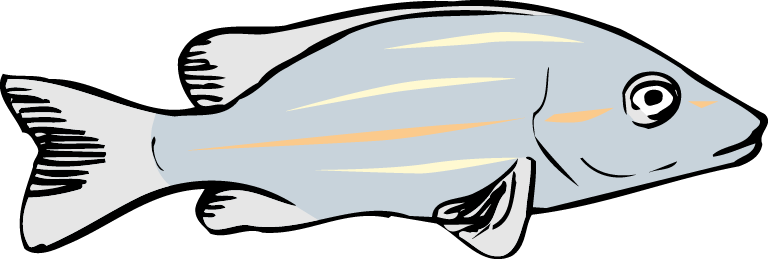 Different Fish Vector Set - Different Fish Vector Set (768x259)