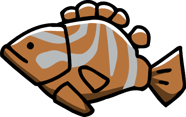 Fish - Grouper (595x375)