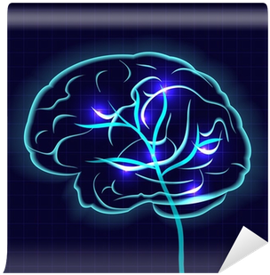 Human Brain (400x400)