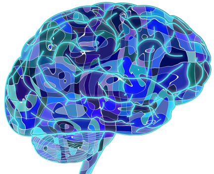 Brain, Brain Fog, Productivity, Motivation - Brain Development (570x350)