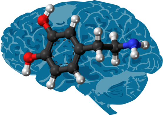 Researchers Have Created An Implantable Chip That Detects - Dopamine Content Brain Mouse (700x393)