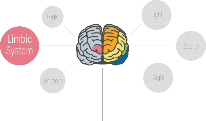 The Limbic System Is The "emotional" Part Of Our Brain - Halloween-aufkleber, Intelligentes Pulver Des Rechteckiger (716x422)