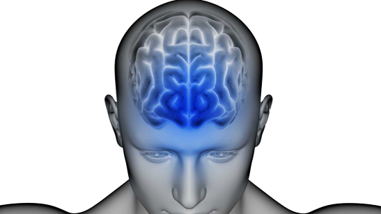 Health Assessment (550x309)