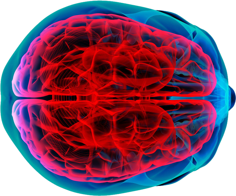 Brain Tumor Human Brain Brain Mapping Cancer - Usmle Step 3 Lecture Notes 2017-2018 (ebook) (976x856)