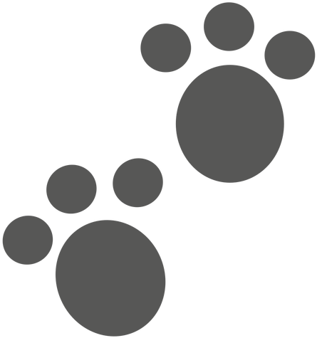 Bobcat Footprint Icon Transparent Png Amp Svg Vector - Pegadas De Coelho Png (512x512)