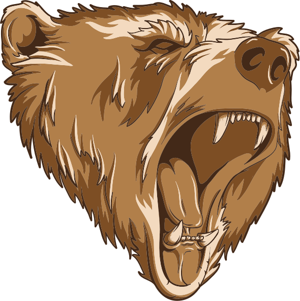 Grizzly Bear Clipart - Grizzly Bear Bear Illustration Png (590x591)