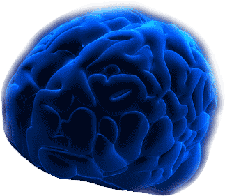 Brain Basics - Blue Brain (500x375)
