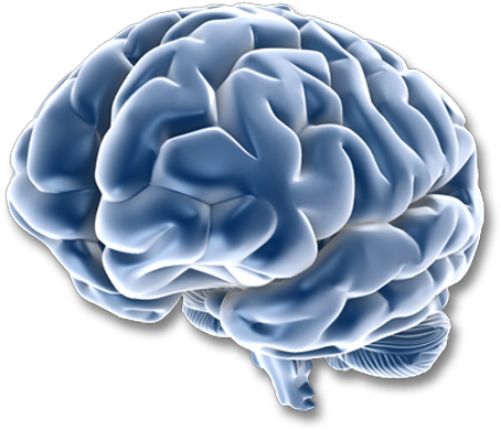 Brain & Spine - Microbes Mindcrobes (503x503)