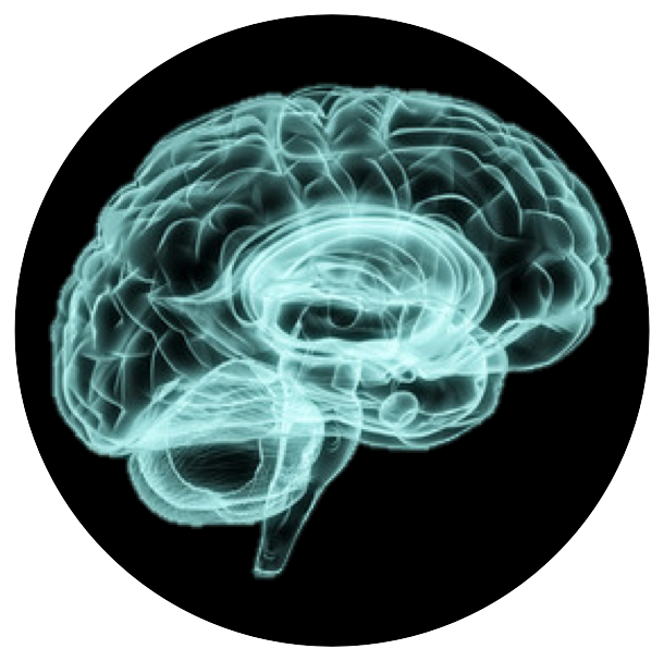 Synergize Supports For Your Cells, Organs, Brain And - Fractal Art (610x607)