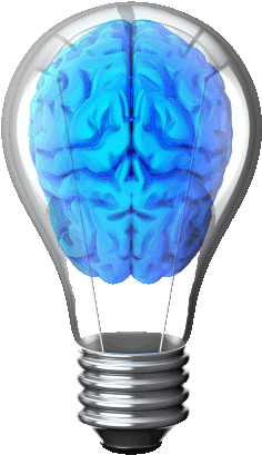 Call 07876 - Brain With Lightbulb Gif (253x500)