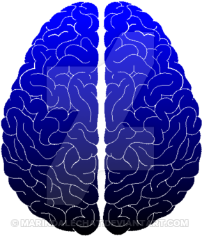 Brain Icon Blue By Marindalechat - Design (400x400)