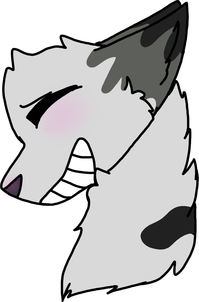 Bless By Avillio - Bless By Avillio (689x1043)